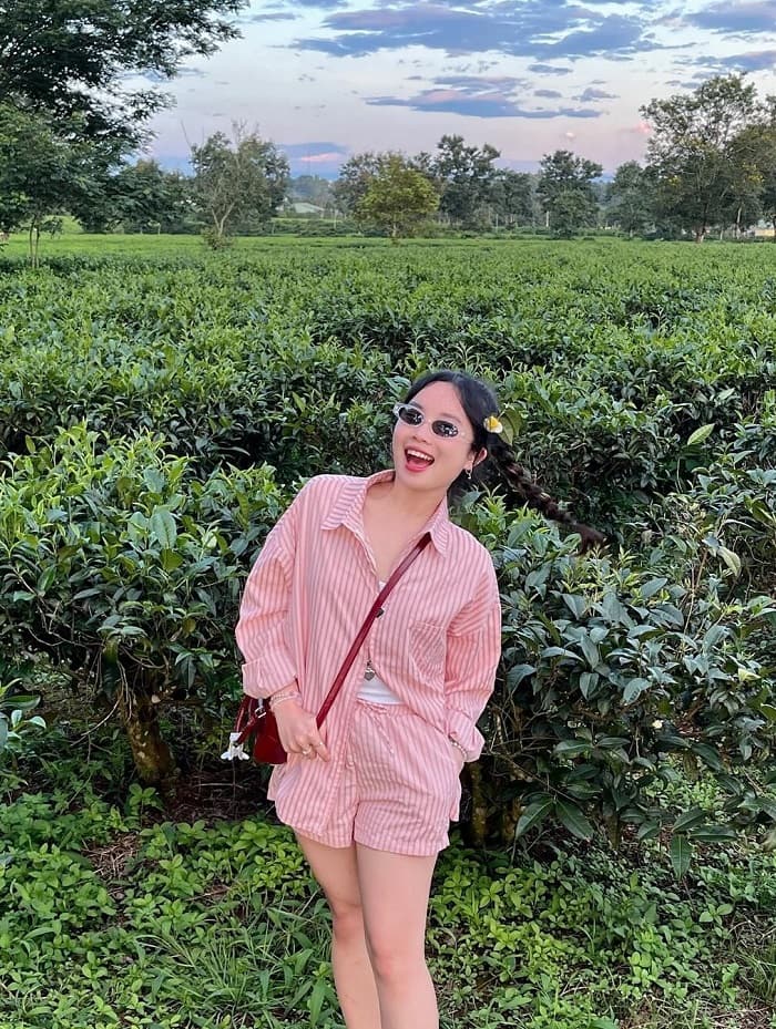 Khám phá đồi chè Pleiku Gia Lai