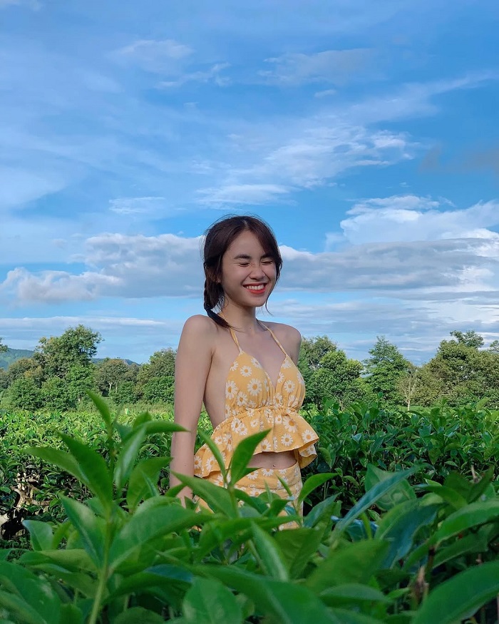 Check in đồi chè Pleiku Gia Lai