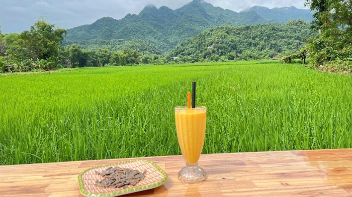 La Mai Châu Home Food & Coffee là quán cà phê đẹp ở Mai Châu mang lại cảm giác bình yên cho du khách