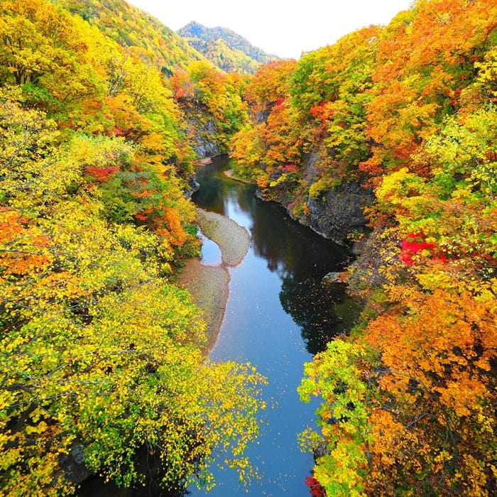 Chiêm ngưỡng cảnh sắc thay đổi theo từng mùa là hoạt động thú vị ở suối nước nóng Jozankei Onsen