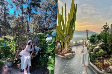 Đến các quán cafe vibe mùa hè ở Đà Lạt tha hồ chill và sống ảo