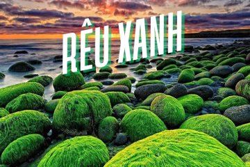Những bãi biển rêu xanh trên thế giới đẹp ảo diệu như cảnh trong phim