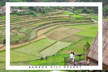 Đến Bamboo Hill Resort Lạng Sơn ngắm cảnh hữu tình, chụp ảnh cực xinh