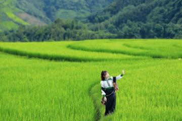 Lên bản Suối Lìn Sơn La, ngắm ruộng bậc thang vừa đẹp vừa chill đến lạ