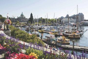 Say đắm trước vẻ đẹp lãng mạn của cảng Inner Harbour Canada