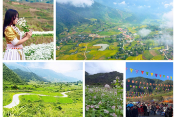 Tà Mung Lai Châu mùa vàng cũng rất gì và này nọ, đẹp chẳng kém Sapa!