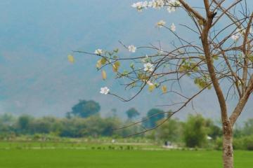 Xã Nà Phòn Mai Châu Phú Thọ - Lạc lối giữa thung lũng xanh và văn hóa Thái cổ