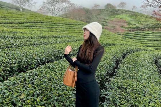 'Thả hồn' giữa mây trời tại đồi chè Ô Long Sa Pa