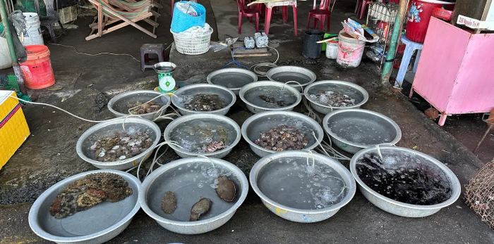 Kinh nghiệm đi chợ Tân Hiệp Cù Lao Chàm Kinh nghiệm đi chợ Tân Hiệp Cù Lao Chàm