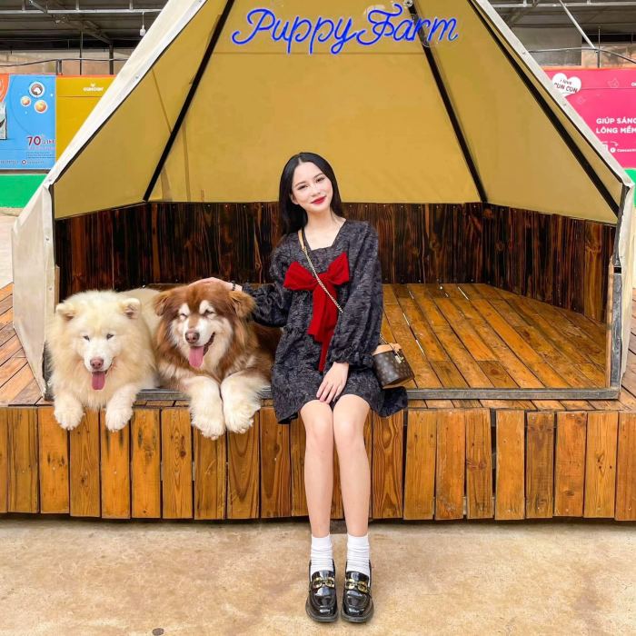 Kinh nghiệm phượt cung Tà Nung Đà Lạt Puppy Farm Kinh nghiệm phượt cung Tà Nung Đà Lạt Puppy Farm