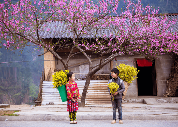 Hà Giang mùa xuân mang vẻ đẹp lãng mạn của hoa đào khoe sắc - Ảnh: Báo Tuyên Quang