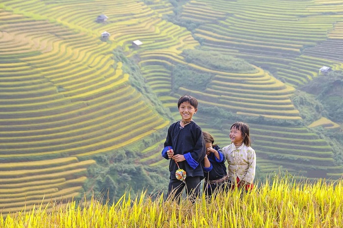 Hà Giang mùa lúa chín - Ảnh: Tien Phong Travel