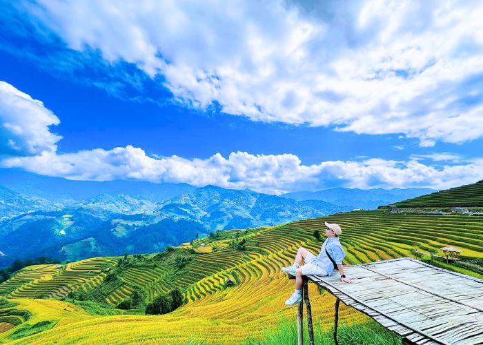 Sắc vàng trải dài khắp thung lũng Mù Cang Chải
