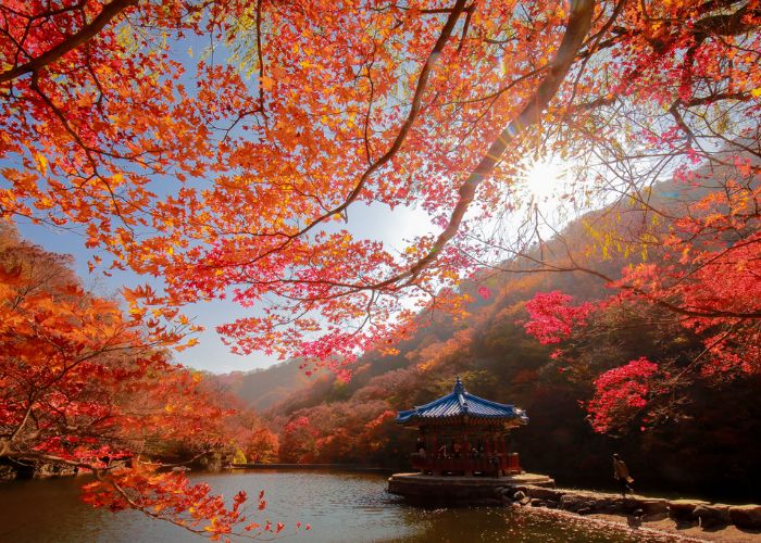 Thời tiết mùa thu Hàn Quốc trong xanh và khí hậu mát mẻ