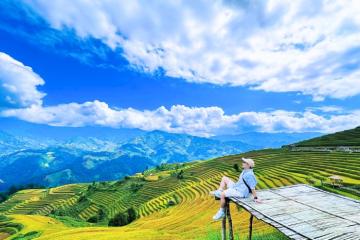 Kinh Nghiệm Du Lịch Mùa Lúa Chín: Bí Quyết Săn Ảnh Mùa Vàng Đẹp Nhất