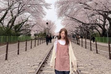 Trạm xe lửa Gyeonghwa Hàn Quốc - Background triệu like mùa hoa anh đào