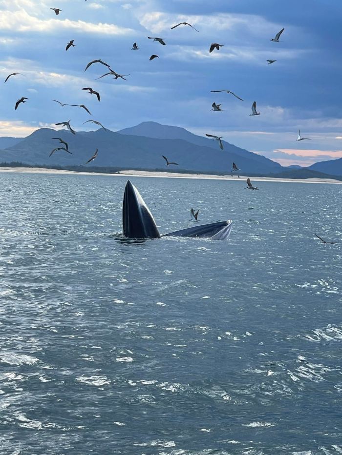 trải nghiệm ở biển Đề Gi Gia Lai