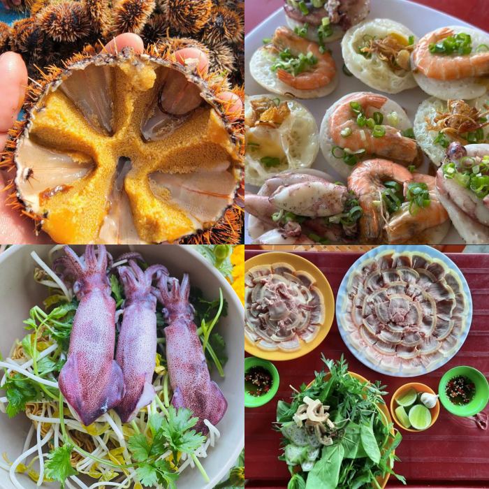 các đặc khu du lịch nổi tiếng ở Việt Nam 