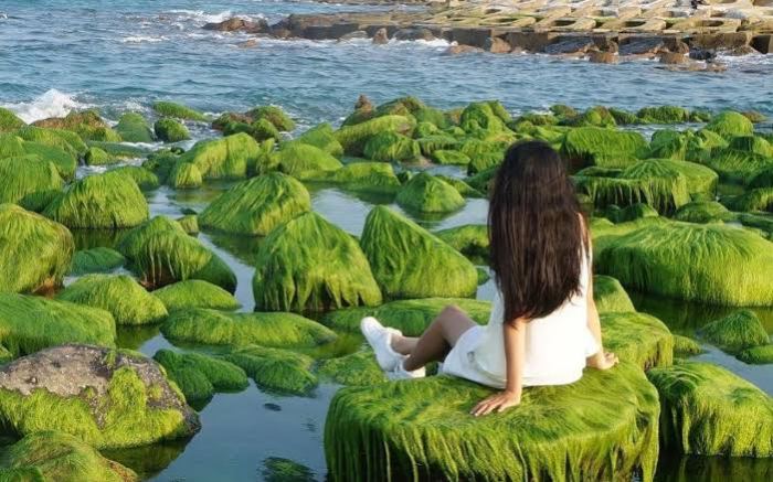 Du lịch biển ở Lâm Đồng Du lịch biển ở Lâm Đồng