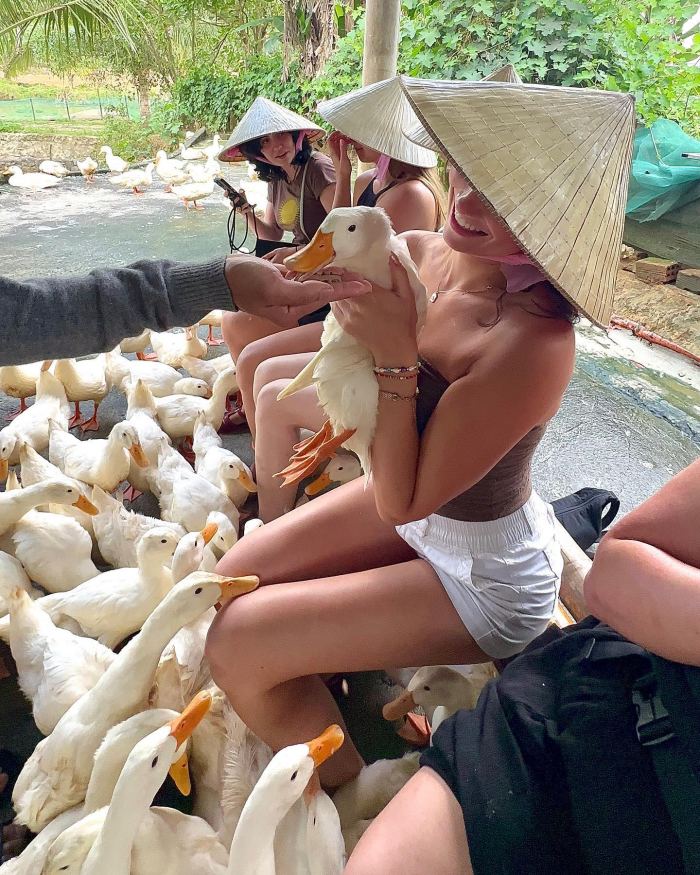 Kinh nghiệm đi tàu di sản Huế - Phong Nha 