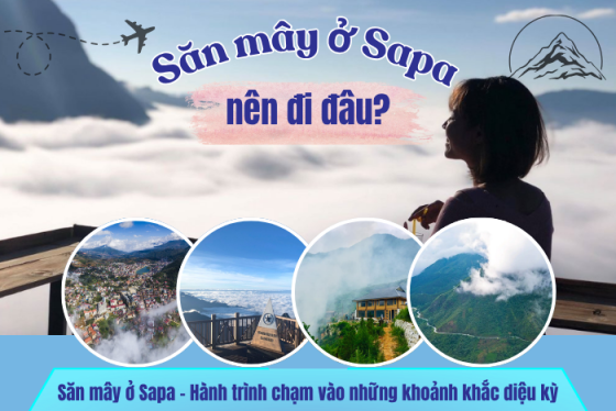 Săn mây ở Sapa nên đi đâu? Check-in ngay những tọa độ cực chill, cực mê