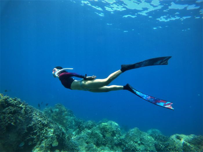 Kinh nghiệm du lịch vịnh Nha Trang ngắm san hô 