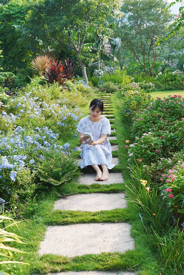 An Lành Farm Yên Bái ở đâu?