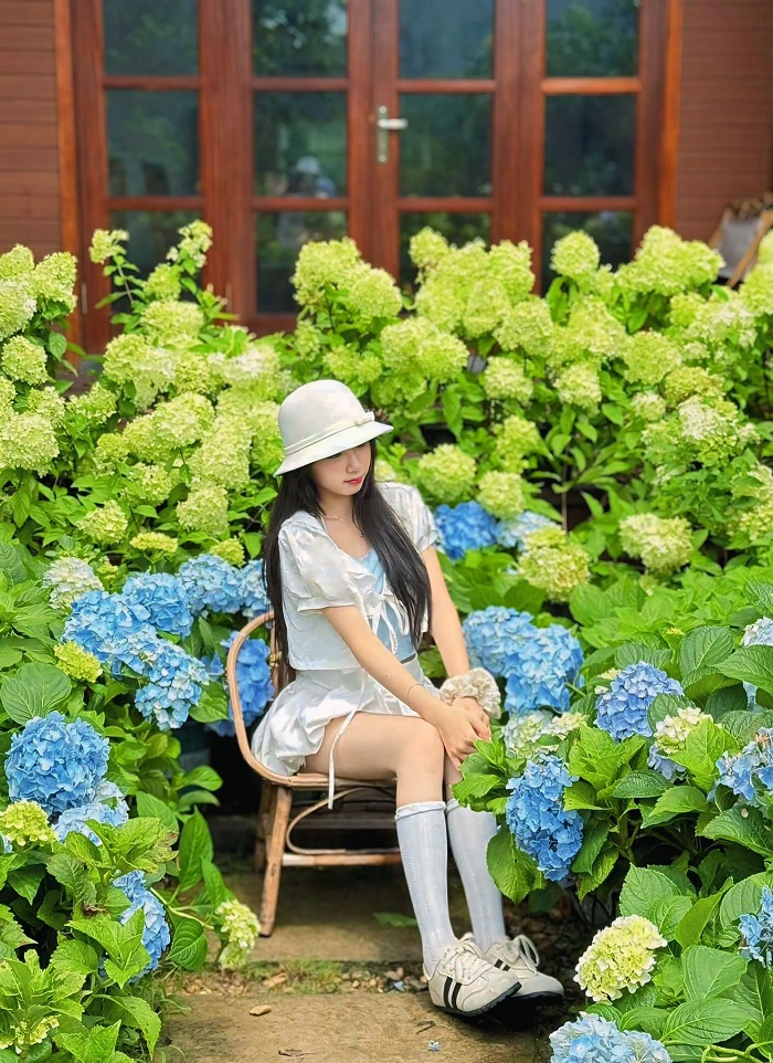 An Lành Farm Yên Bái mang đến ảnh check in đẹp như tranh