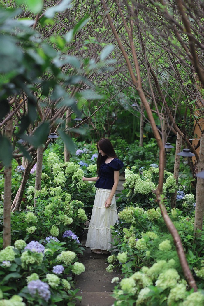 An Lành Farm Yên Bái mùa nào cũng đẹp