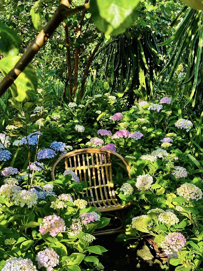 An Lành Farm Yên Bái là điểm đến chữa lành cho du khách