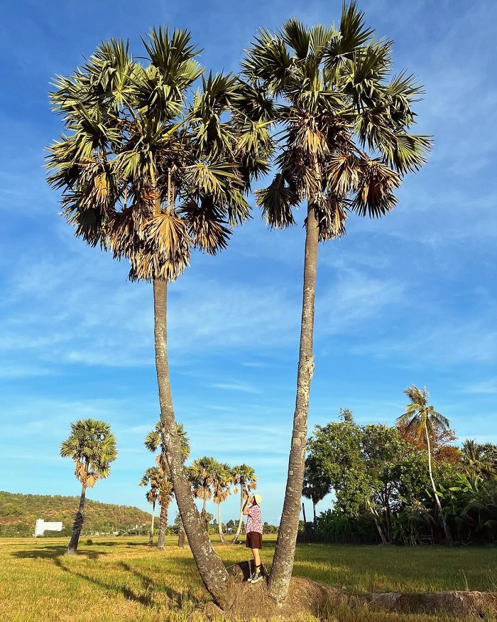 An Giang là điểm đến mùa thu đẹp nhất Việt Nam với không khí yên bình 