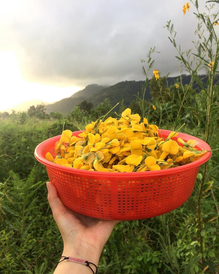 An Giang là điểm đến mùa thu đẹp nhất Việt Nam và có nhiều món ăn ngon