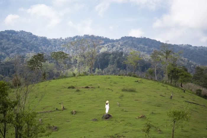 điểm du lịch thiên nhiên ở Măng Đen Đồi cỏ Măng Đen
