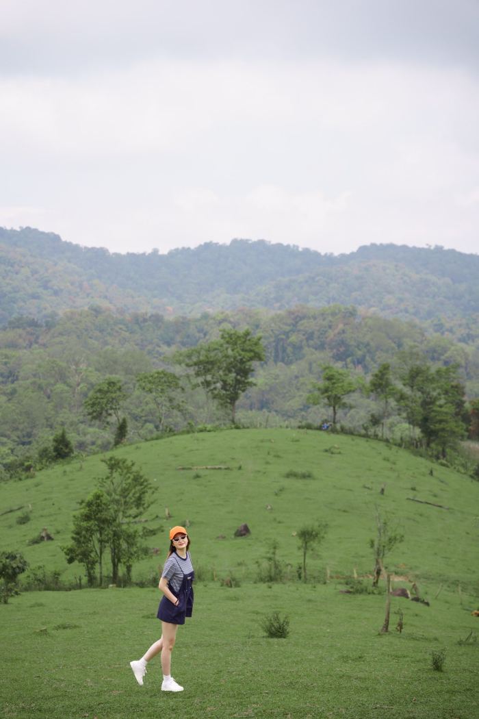 điểm du lịch thiên nhiên ở Măng Đen Đồi cỏ Măng Đen