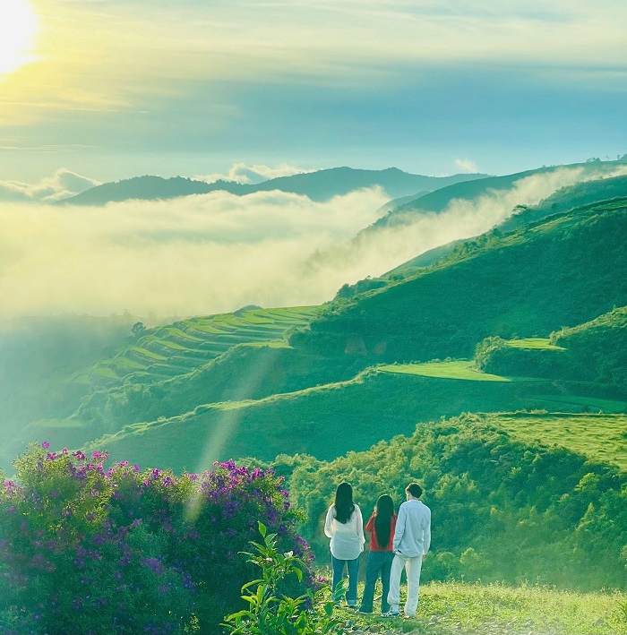 Đồi hoa tím Suối Bon Sơn La là điểm đến không thể bỏ qua