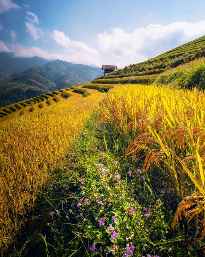 Khám phá Khim Nọi Yên Bái tận hưởng một chuyến đi đầy trải nghiệm