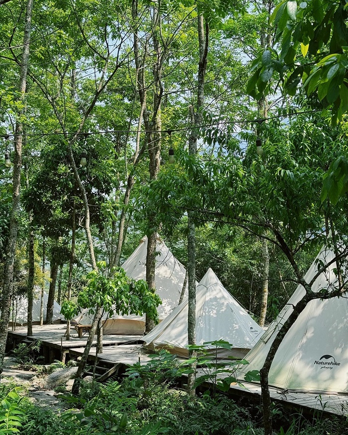 Wecamp Cafe Retreat là khu glamping đẹp ở Lào Cai nằm ở Tả Van