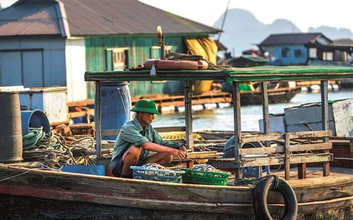 làng chài Ba Hang Hạ Long - hoạt động
