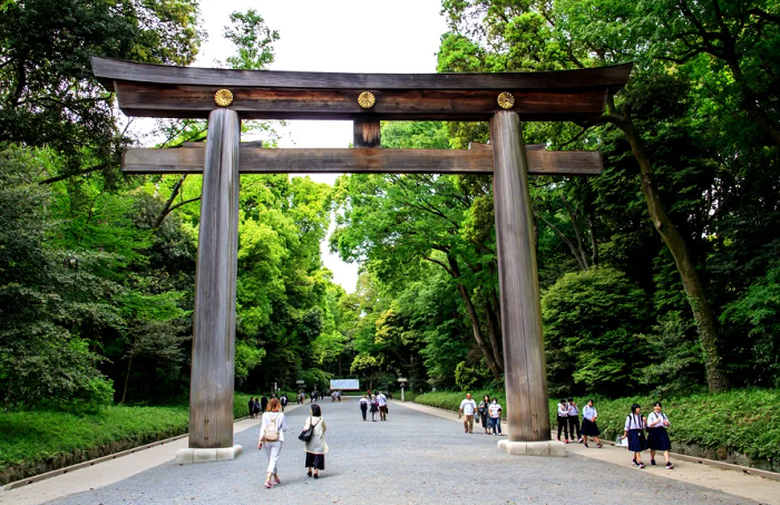Đền Meiji Jingu ở đâu