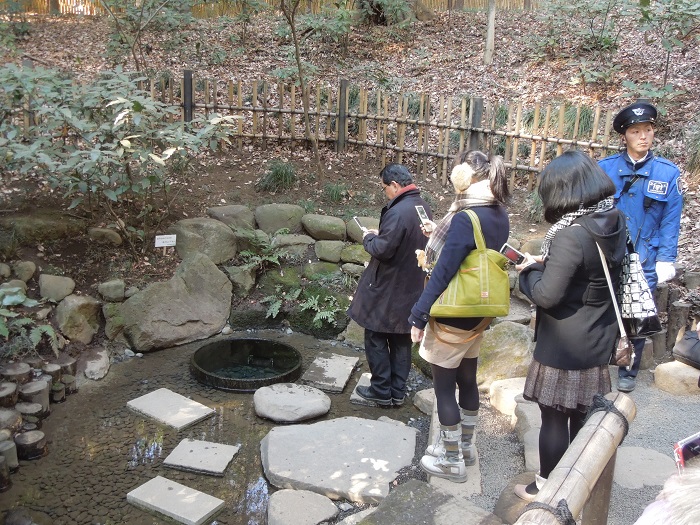 Tham quan đền Meiji Jingu -Kiyomasa’s Well