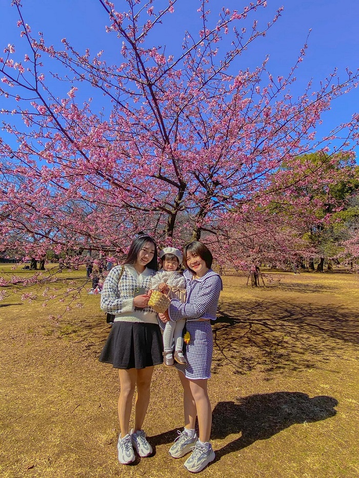 Tham quan đền Meiji Jingu -Công viên Yoyogi  