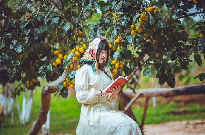 Mùa hồng chín ở Măng Đen 