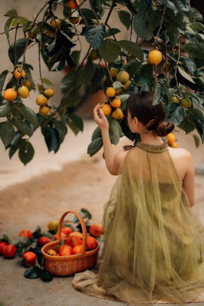 Mùa hồng chín ở Măng Đen vẻ đẹp