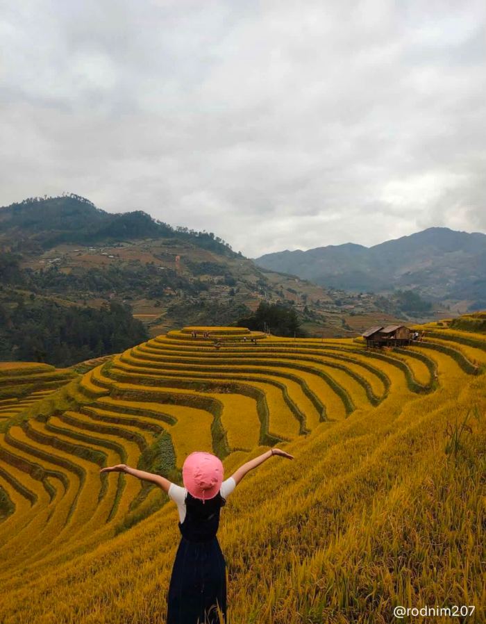  Đường vào mùa vàng Háng Đăng Dê Mù Cang Chải 