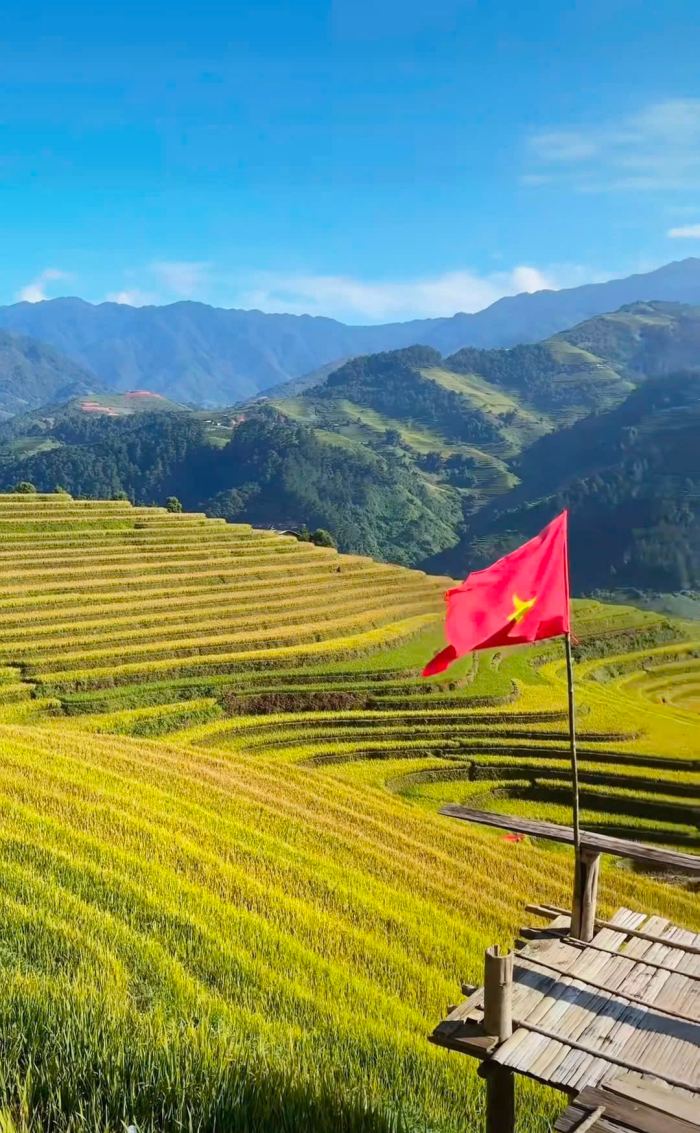 vẻ đẹp mùa vàng Háng Đăng Dê Mù Cang Chải 