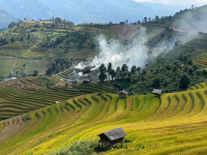 vẻ đẹp mùa vàng Háng Đăng Dê Mù Cang Chải 