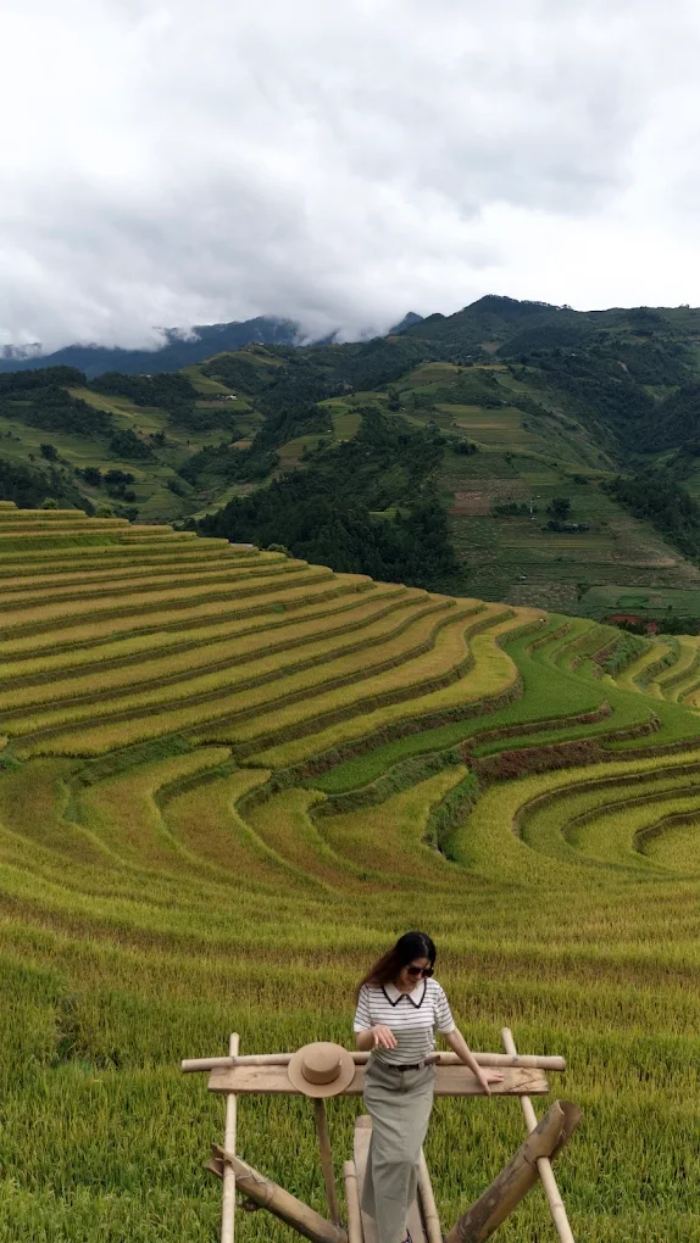 trải nghiệm mùa vàng Háng Đăng Dê Mù Cang Chải 