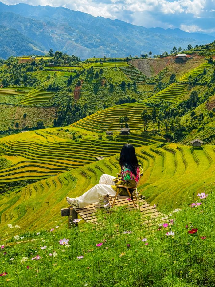 vẻ đẹp mùa vàng Háng Đăng Dê Mù Cang Chải 