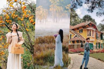 Phát sốt với những tọa độ săn ảnh mùa thu ở Đà Lạt hội sống ảo không thể bỏ lỡ