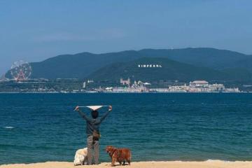 Kinh nghiệm du lịch vịnh Nha Trang từ A đến Z vi vu ngắm đảo, đi du thuyền 